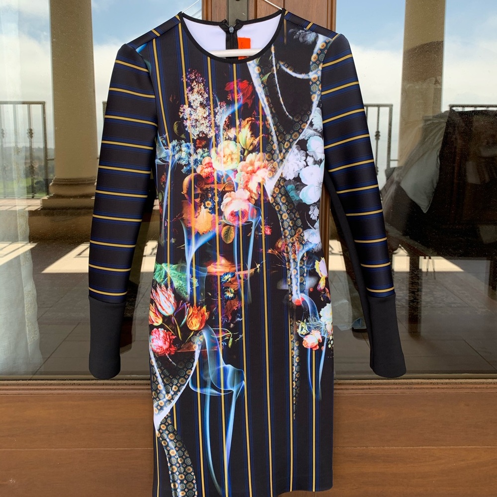 Clover Canyon dress